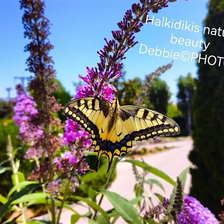 شقة Casagrande كريوبيجي