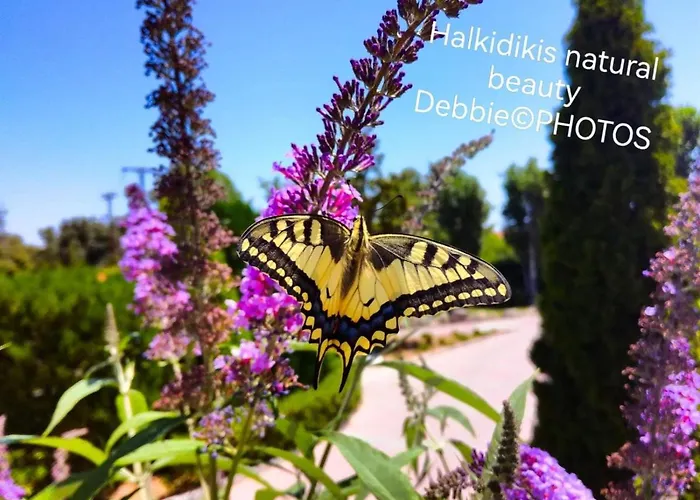 Apartamento Casagrande Kriopigi